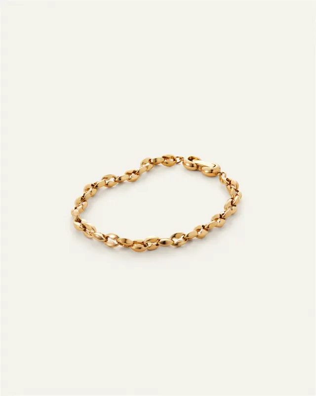 Dhani Bracelet made by JENNY BIRD