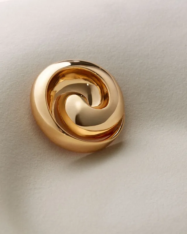 Renzo Brooch made by JENNY BIRD