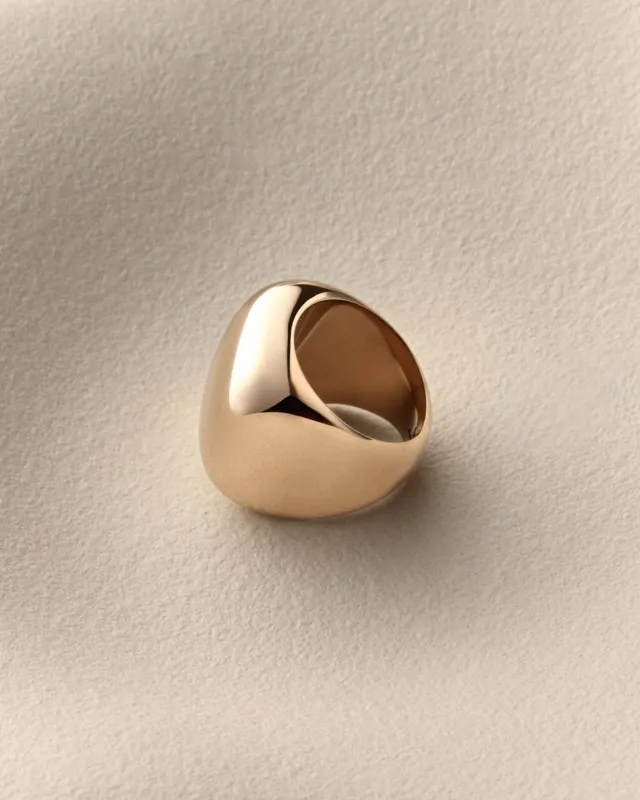 Tate Ring made by JENNY BIRD