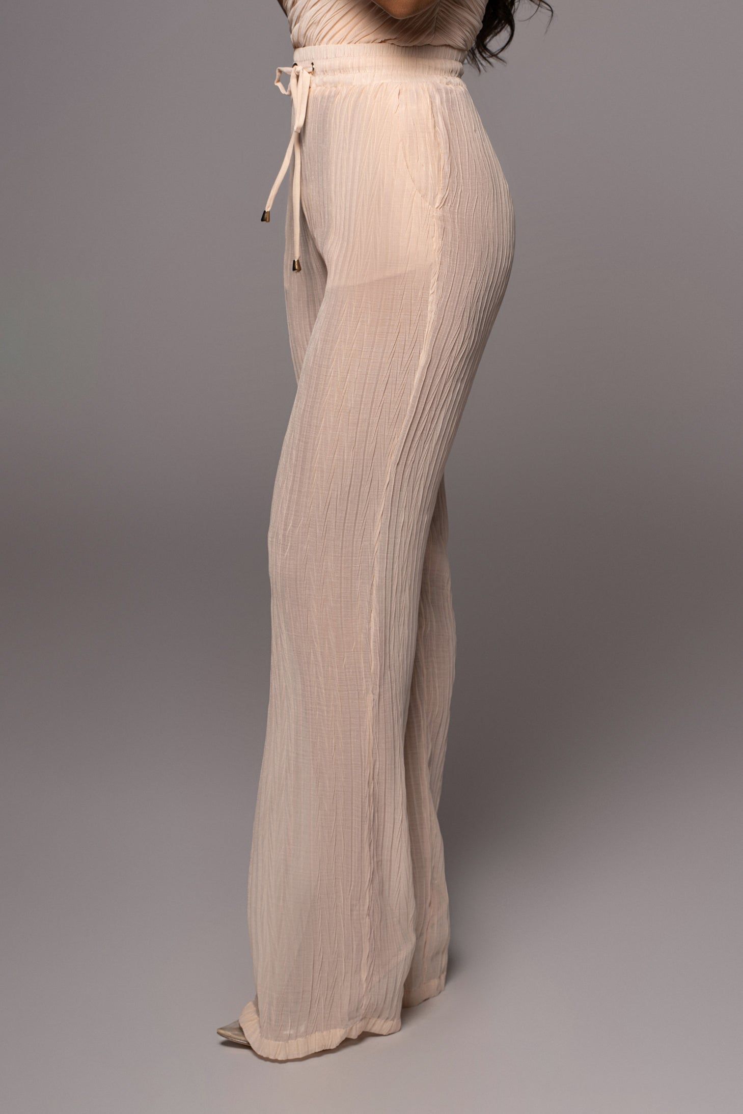 Champagne Jaziel Pleated Pants sold by JLUXLABEL product image thumbnail 13