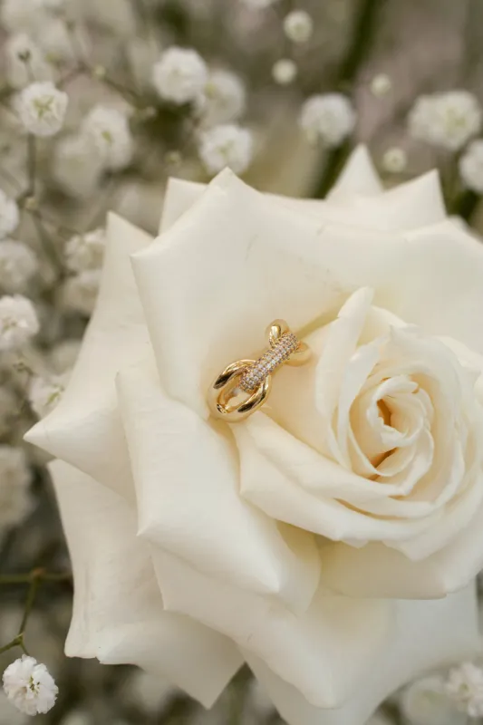 Gold Davi Paved Ring sold by JLUXLABEL