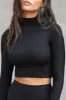 Cropped Mock Neck Long Sleeve sold by Joah Brown