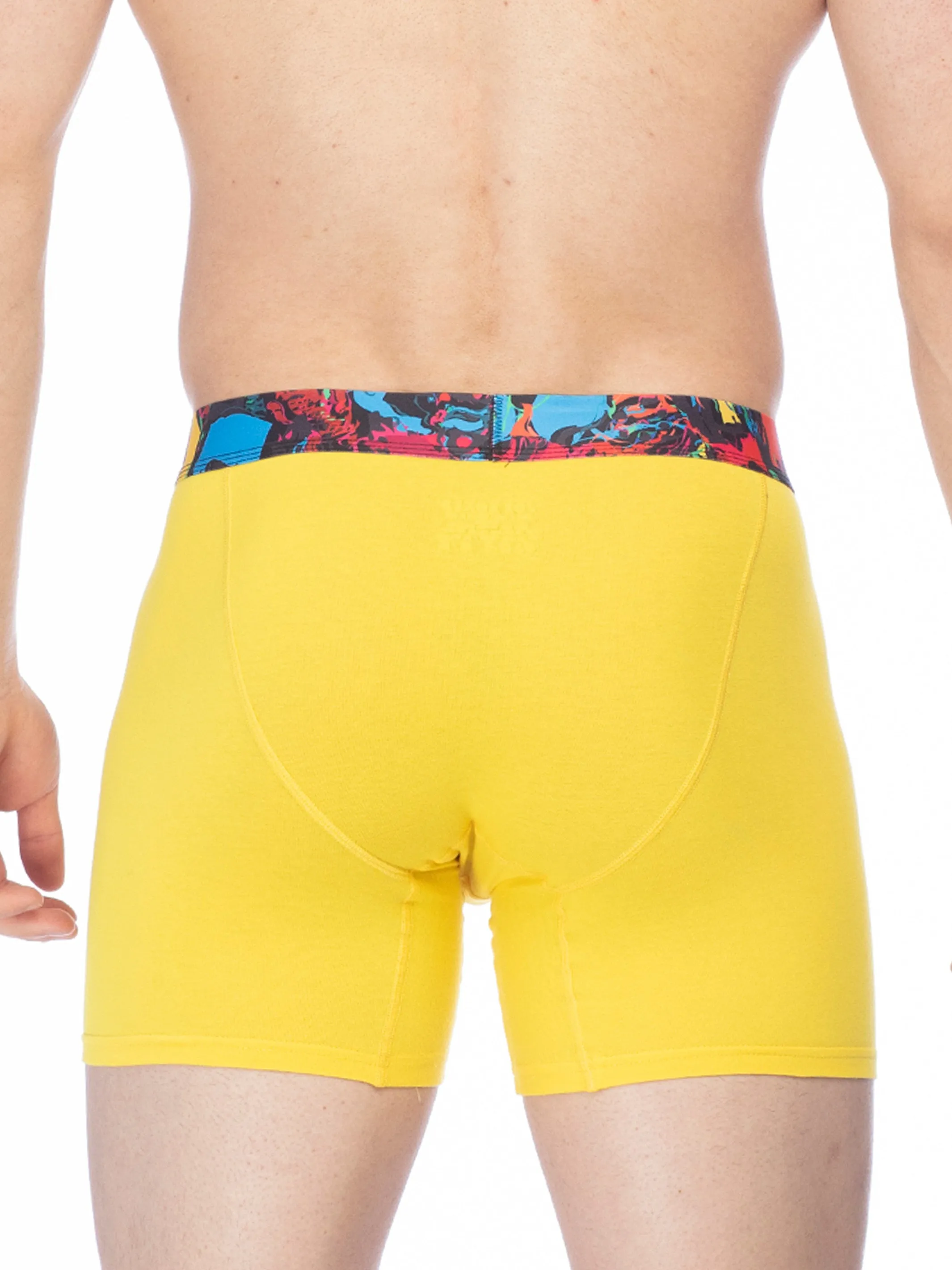 BOXER BRIEF | 5-PACK COLOR sold by Joe Boxer product image thumbnail 3