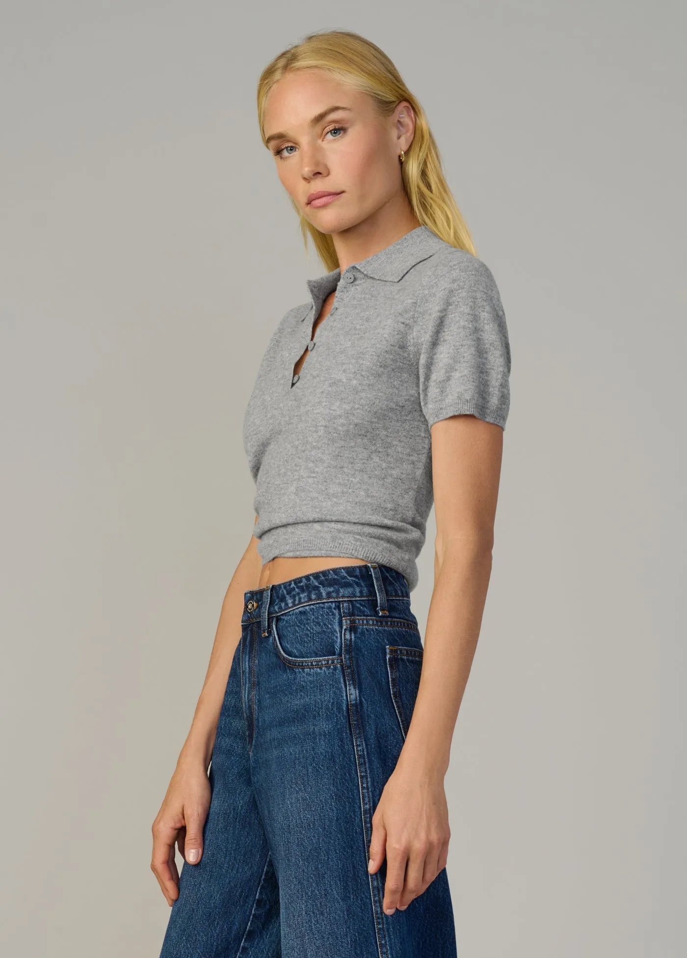 THE CASHMERE SHORT SLEEVE POLO SWEATER sold by Joe's Jeans product image thumbnail 3