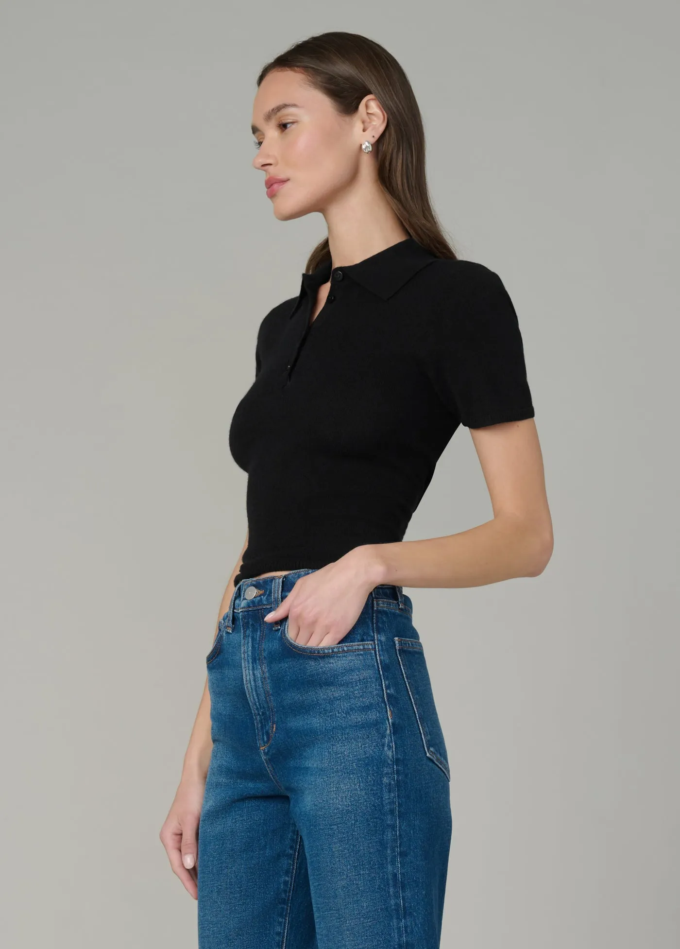 THE CASHMERE SHORT SLEEVE POLO SWEATER sold by Joe's Jeans product image thumbnail 3