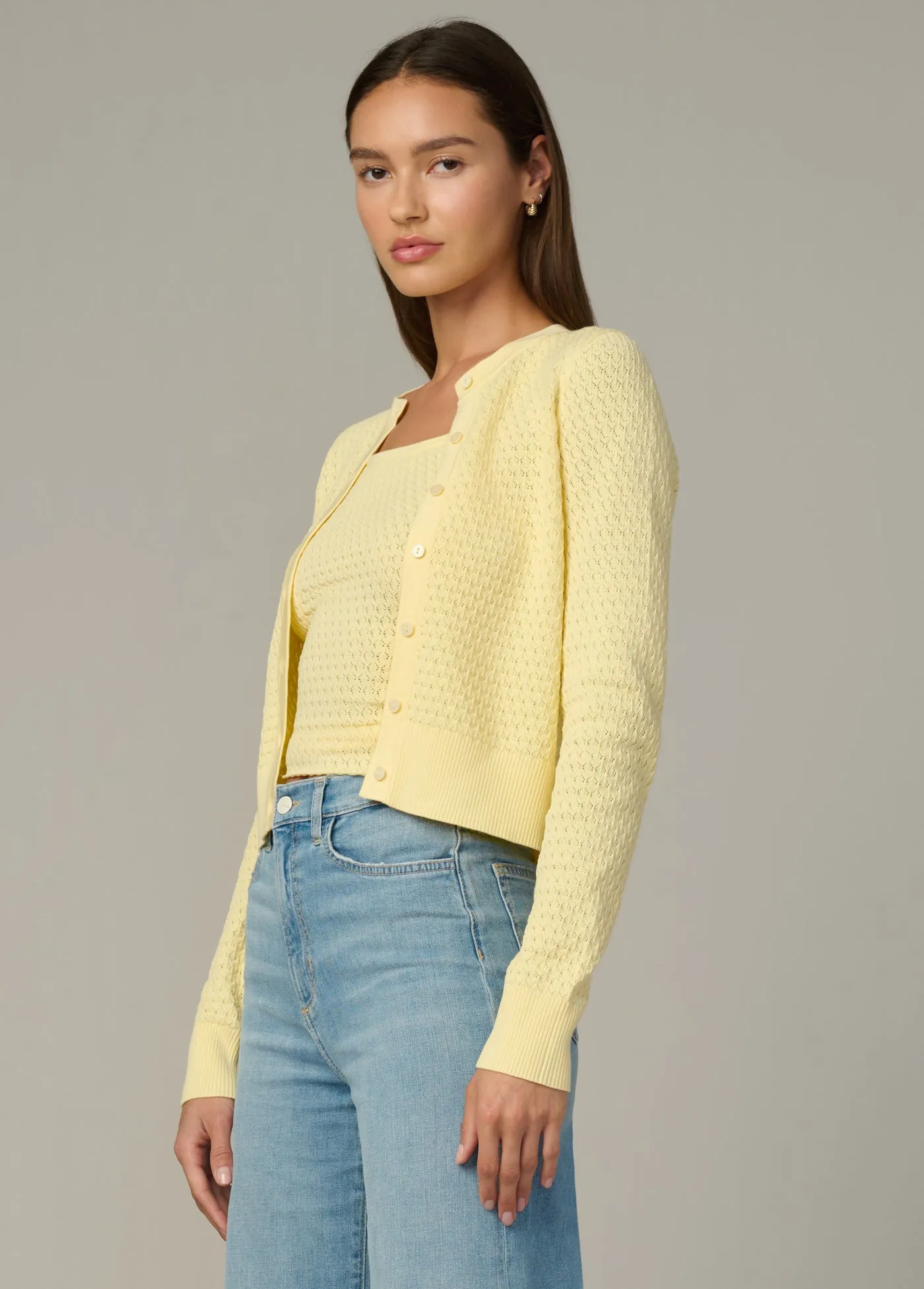 THE POINTELLE DANI CARDIGAN sold by Joe's Jeans product image thumbnail 3