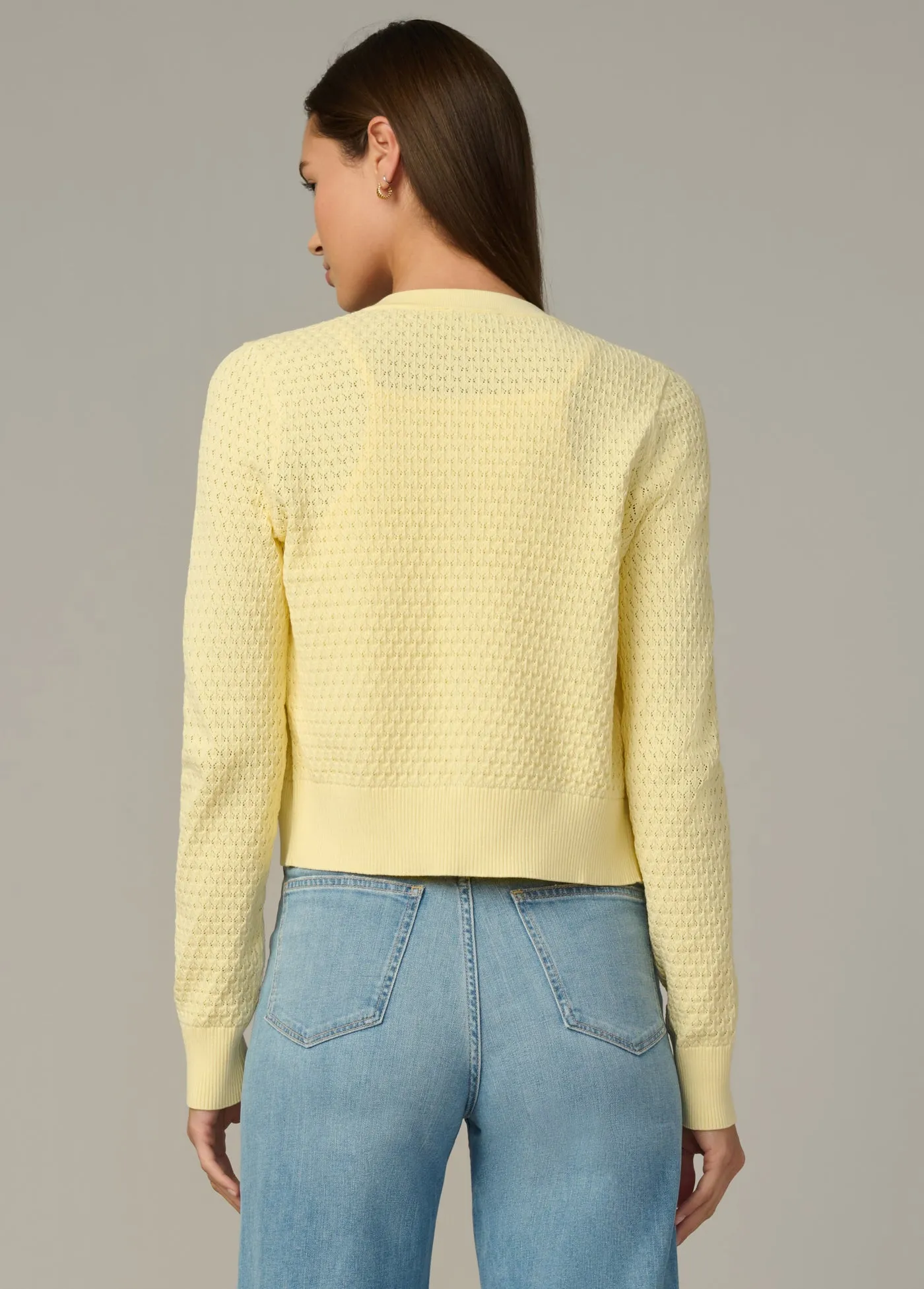 THE POINTELLE DANI CARDIGAN sold by Joe's Jeans product image thumbnail 4