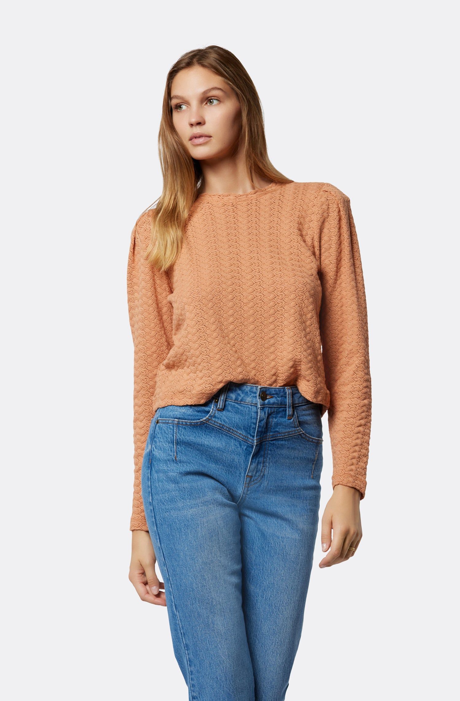 Stanton Long Sleeve Top sold by Joie