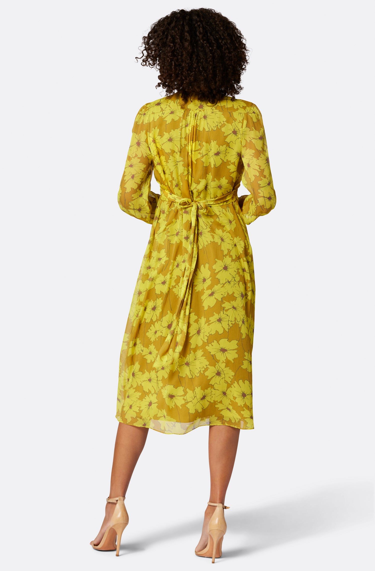 Kaz Midi Silk Dress sold by Joie product image thumbnail 4