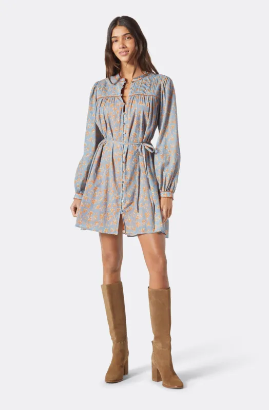 Challensia Mini Cotton Dress sold by Joie