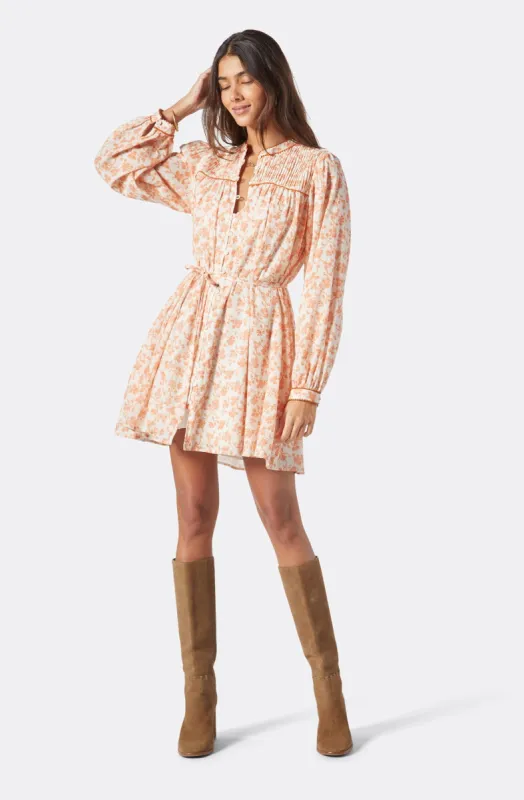 Challensia Mini Cotton Dress sold by Joie