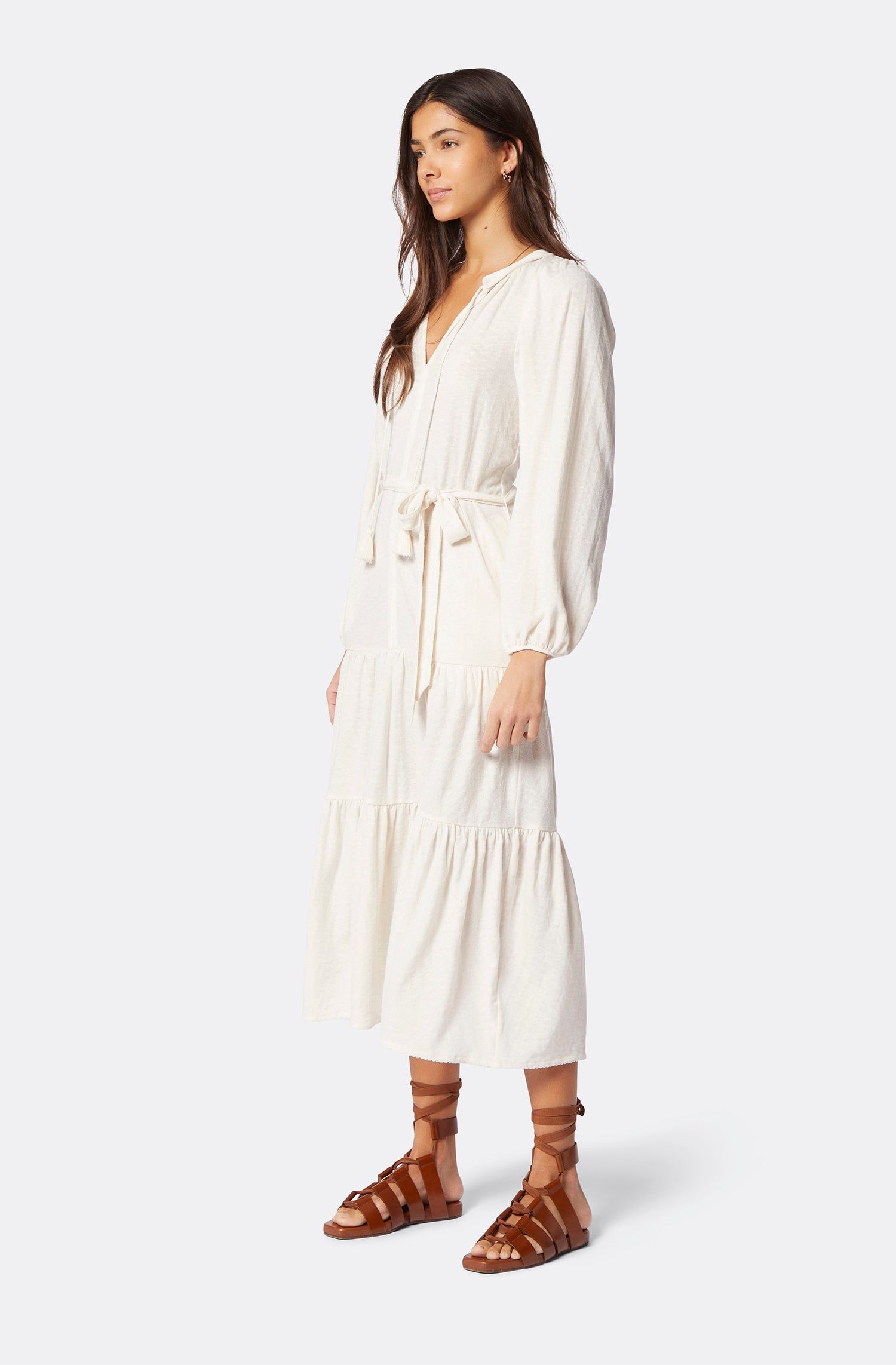 Mulberry Maxi Dress sold by Joie product image thumbnail 4