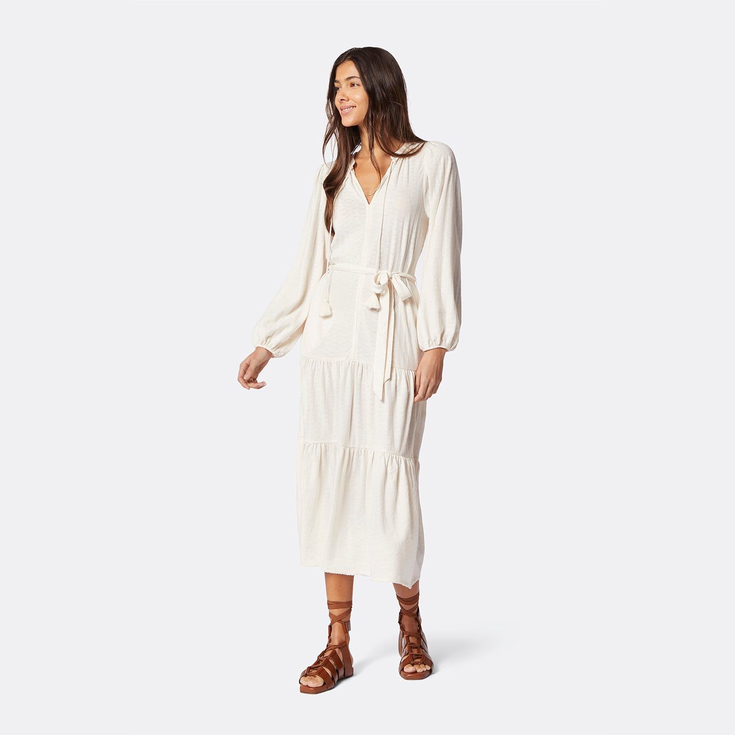 Mulberry Maxi Dress sold by Joie product image thumbnail 6