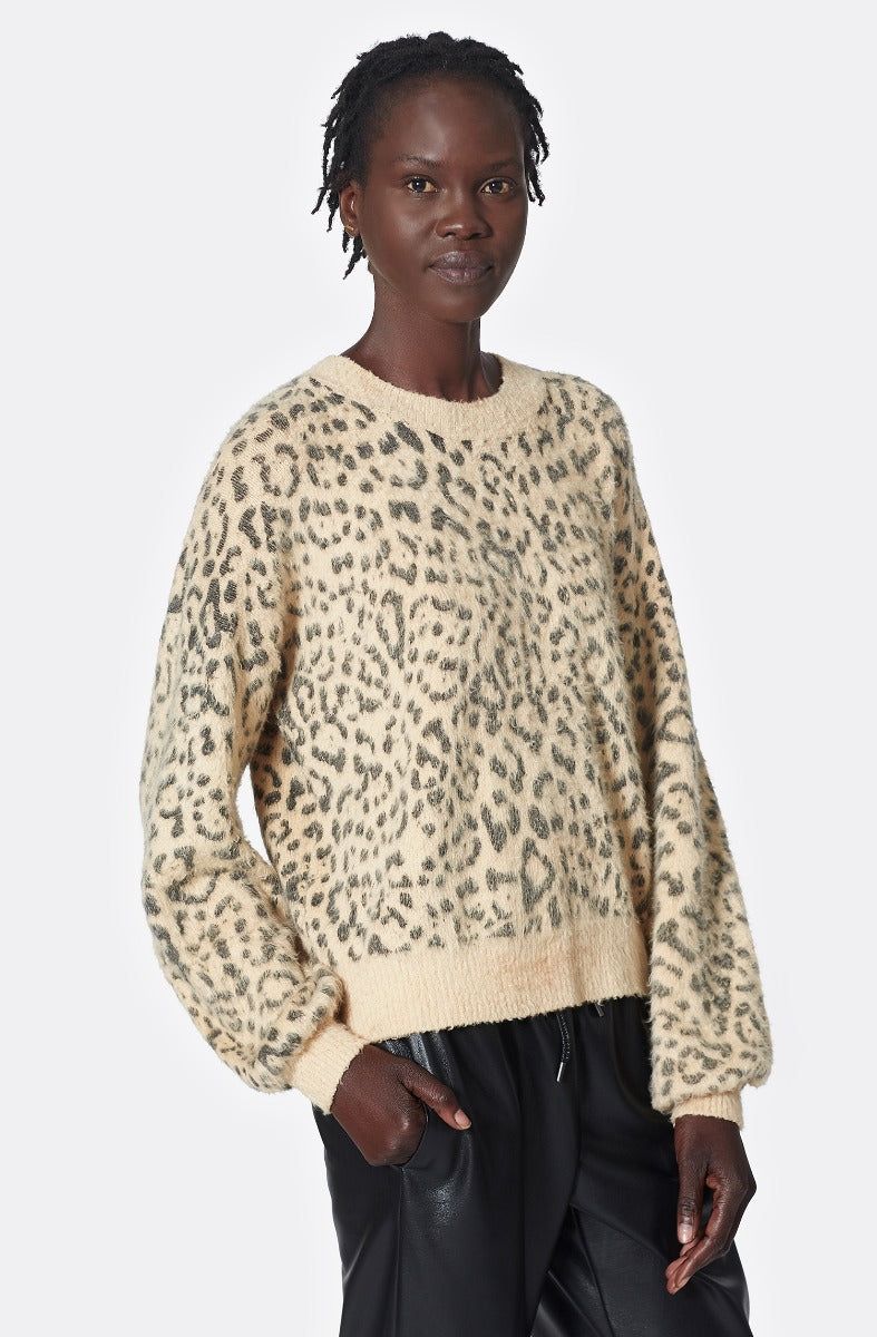 Jorja Crewneck Sweater sold by Joie product image thumbnail 4