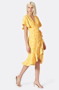 Amelian Dress sold by Joie