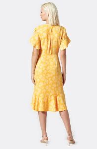 Amelian Dress sold by Joie