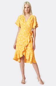 Amelian Dress sold by Joie