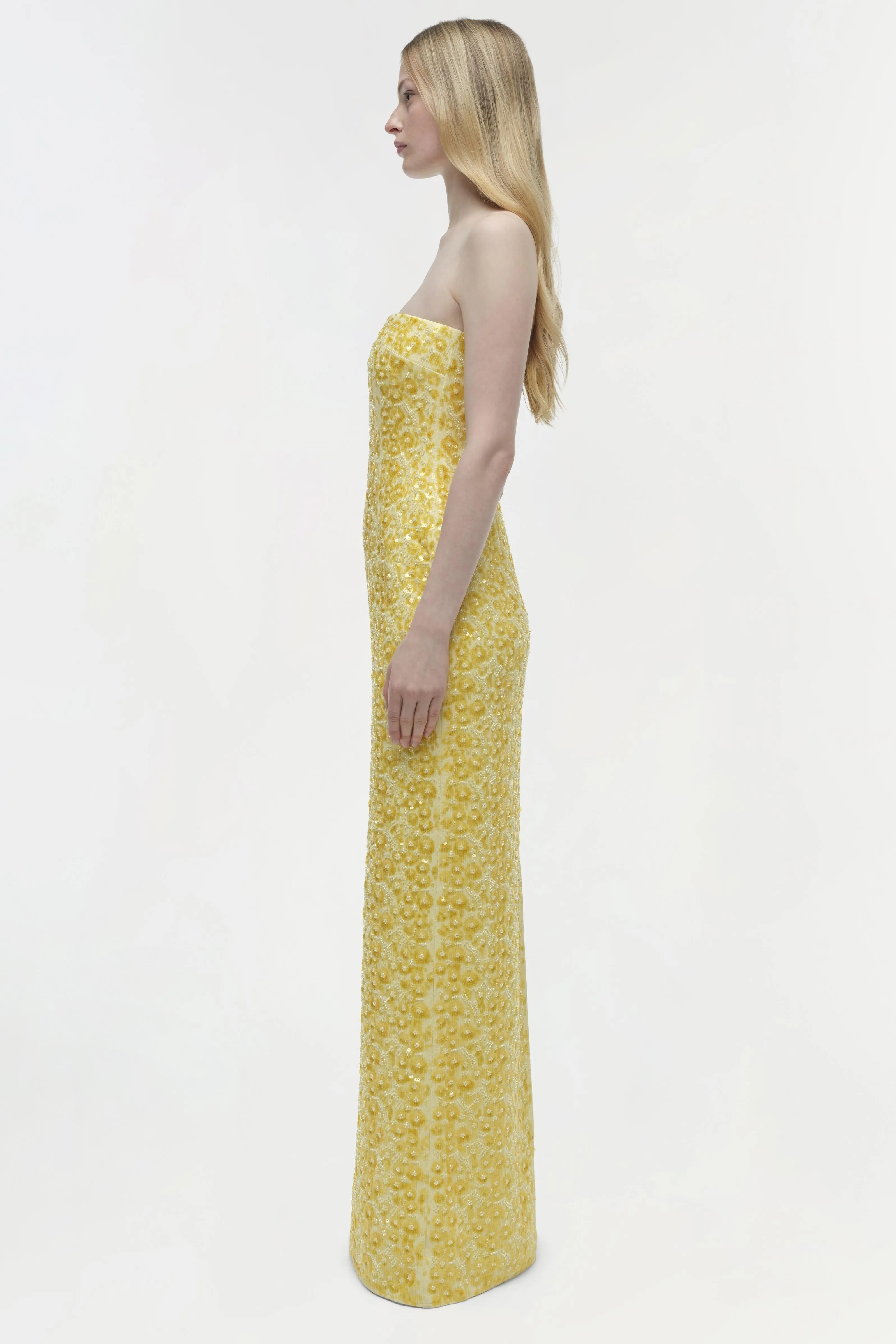 Savia Strapless Embellished Gown sold by Jonathan Simkhai product image thumbnail 4