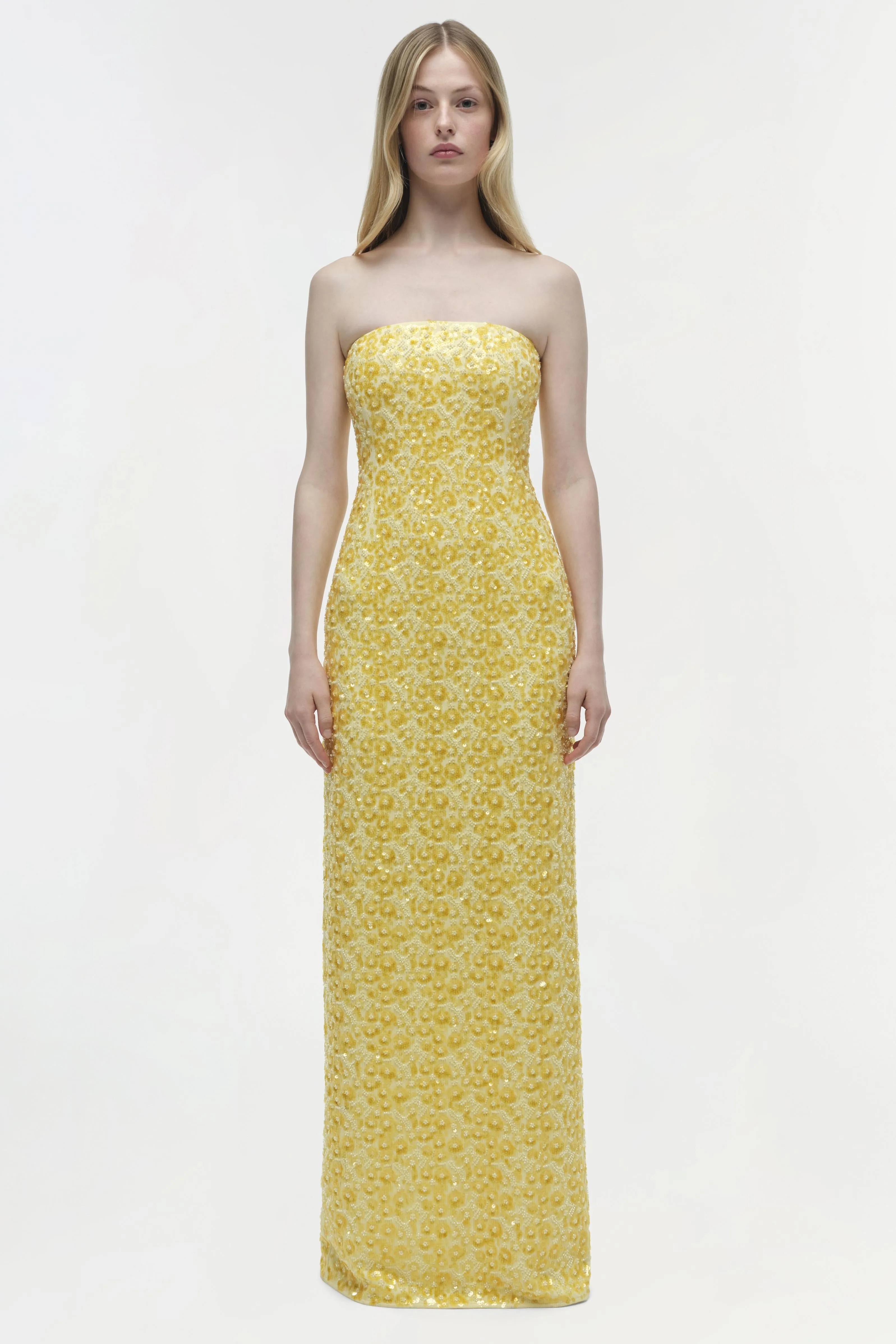 Savia Strapless Embellished Gown sold by Jonathan Simkhai product image thumbnail 5
