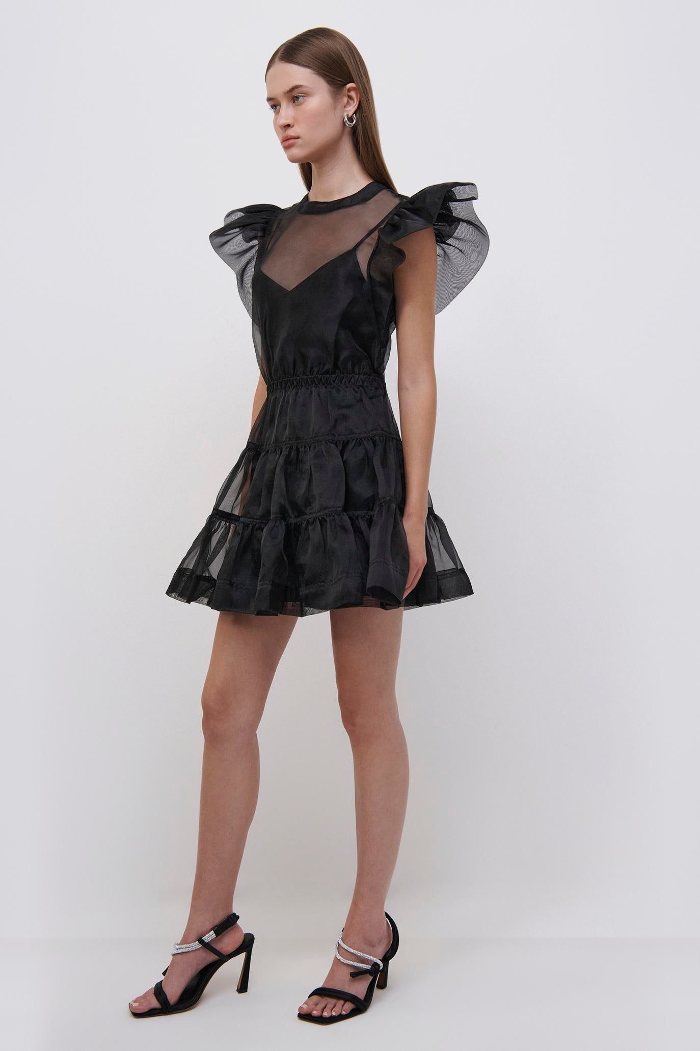 Monique Organza Ruffle Mini Dress sold by Jonathan Simkhai product image thumbnail 4