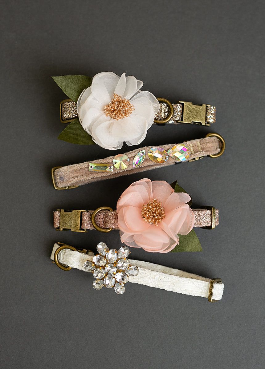 Missy Pet Collar in Cream Lace sold by Joyfolie product image thumbnail 4