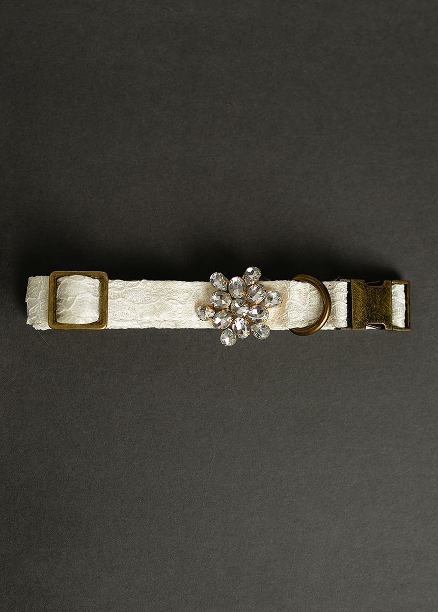 Missy Pet Collar in Cream Lace sold by Joyfolie