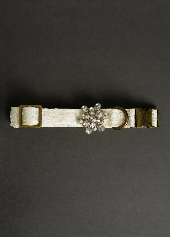 Missy Pet Collar in Cream Lace sold by Joyfolie