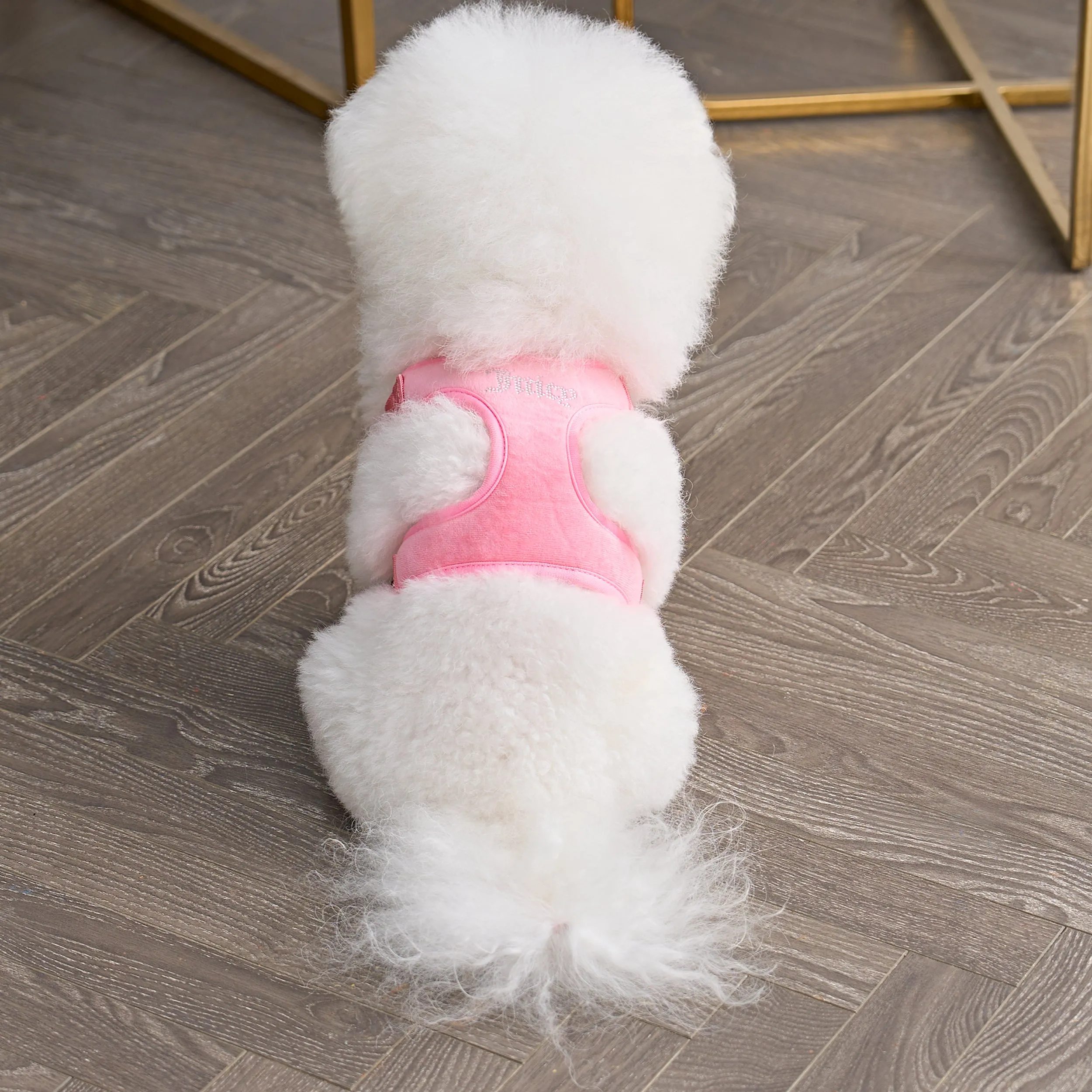Bling Velour Pet Harness and Leash Set sold by Juicy Couture product image thumbnail 2