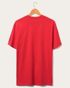 49ers NFL Franchise Fan Tee sold by Junk Food Clothing