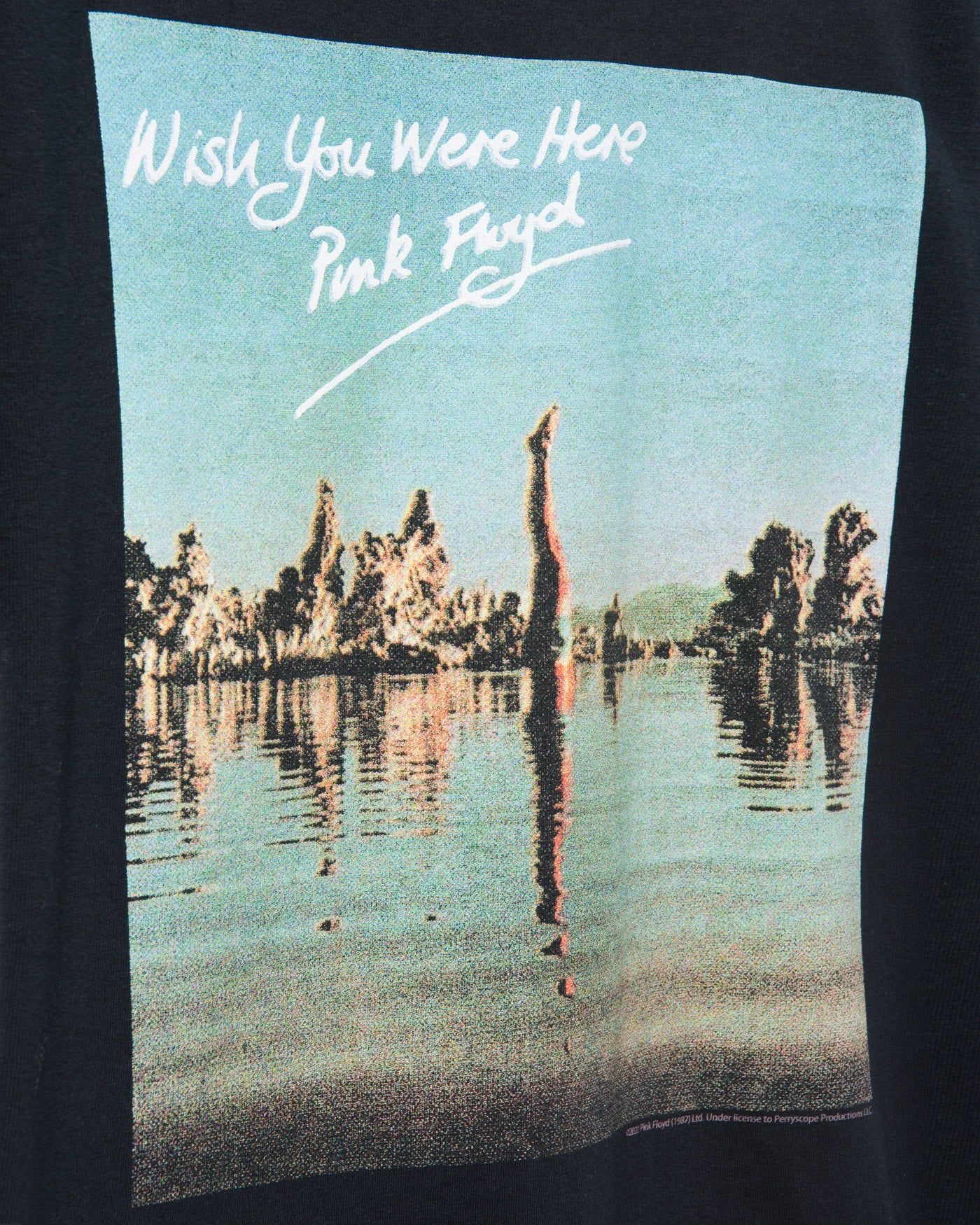 Pink Floyd Wish You Were Here Flea Market Tee sold by Junk Food Clothing product image thumbnail 3