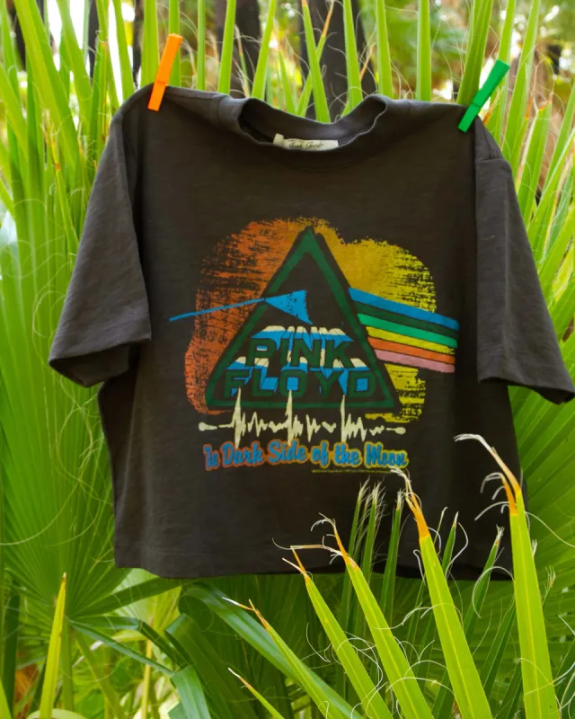 Women's Pink Floyd Brush Stroke Crop Mock Neck Tee sold by Junk Food Clothing