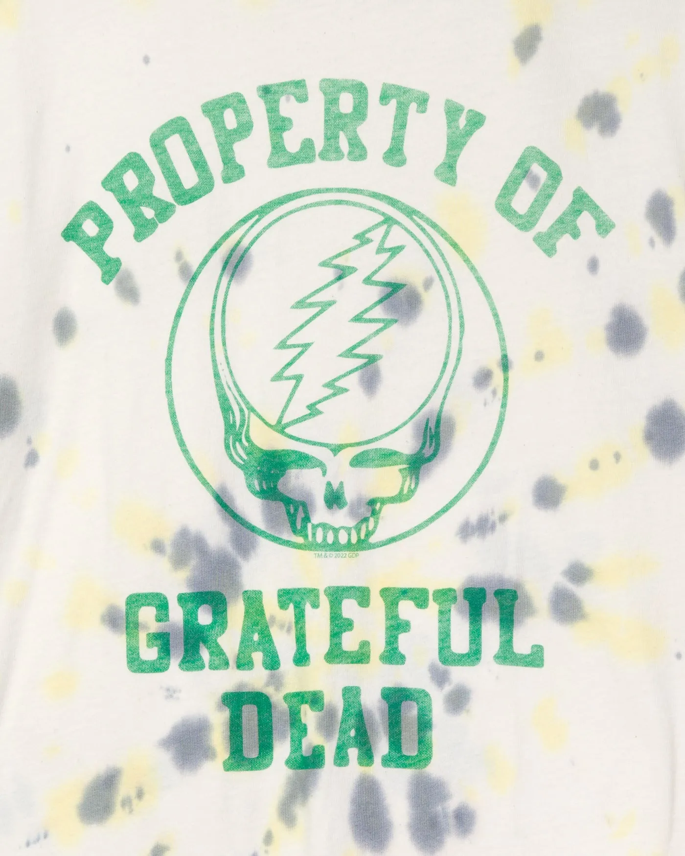 Property of Grateful Dead Vintage Tee sold by Junk Food Clothing product image thumbnail 5