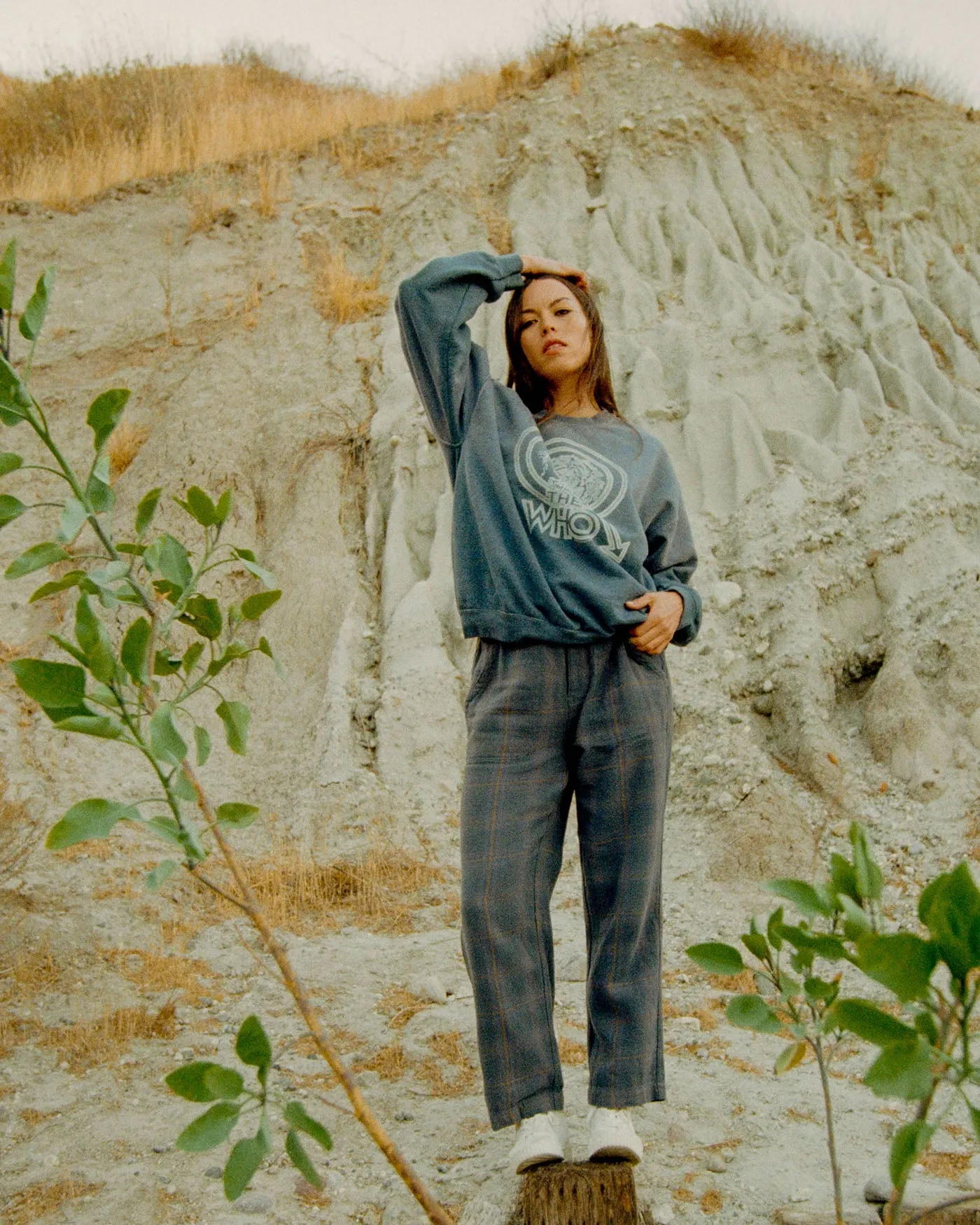 The Who Tour '79 Lion Flea Market Fleece sold by Junk Food Clothing product image thumbnail 2