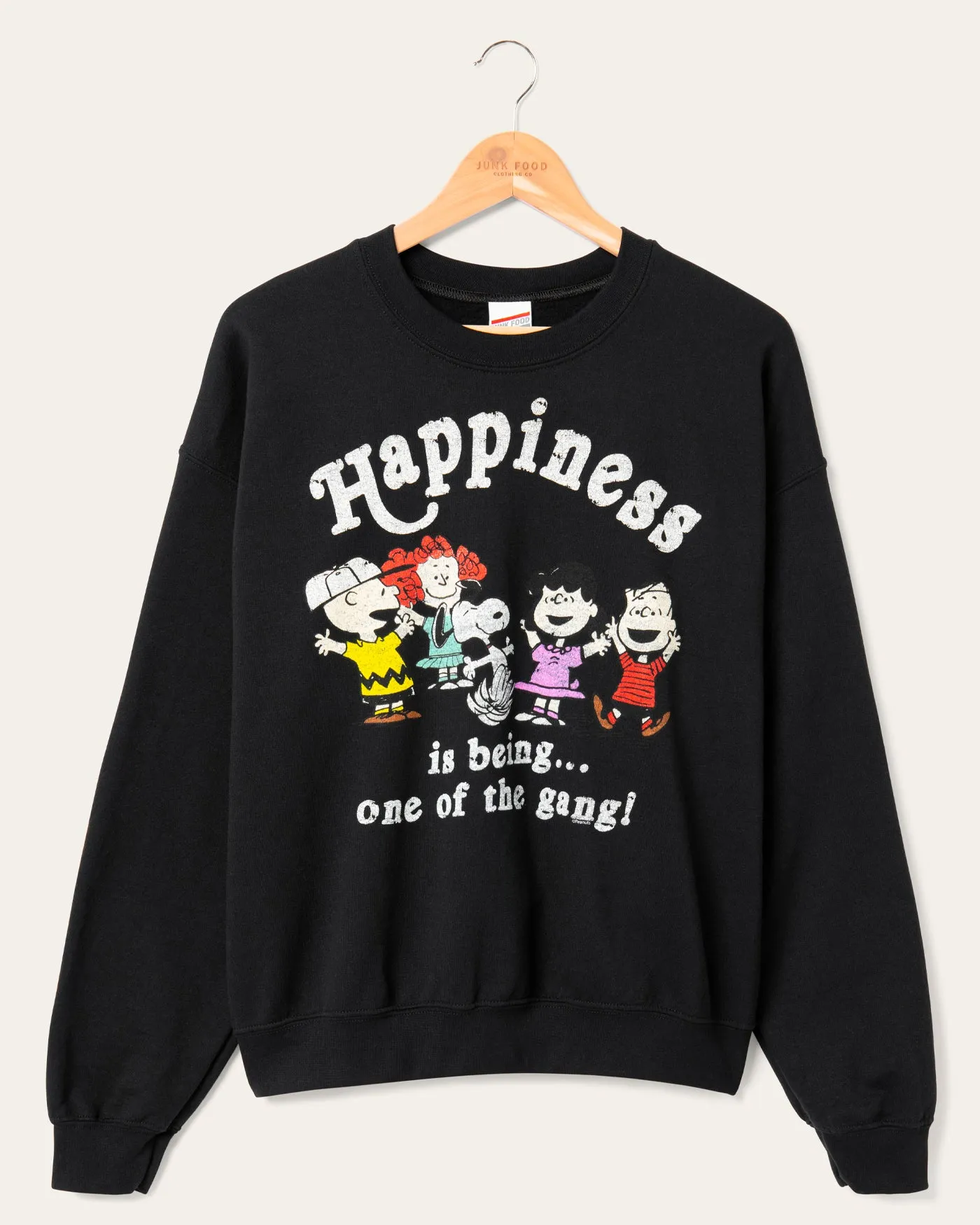 Peanuts One Of The Gang Flea Market Fleece sold by Junk Food Clothing