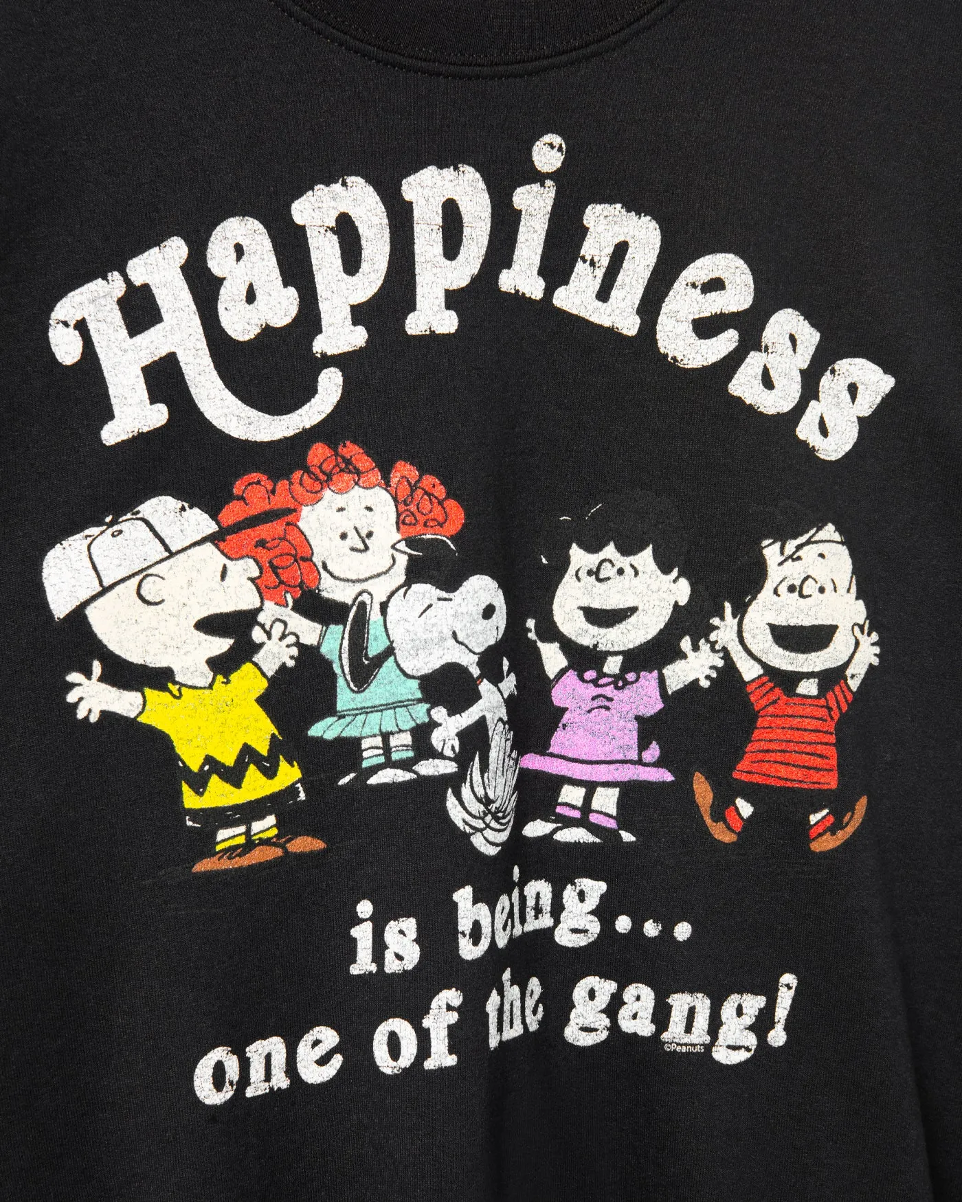 Peanuts One Of The Gang Flea Market Fleece sold by Junk Food Clothing product image thumbnail 3
