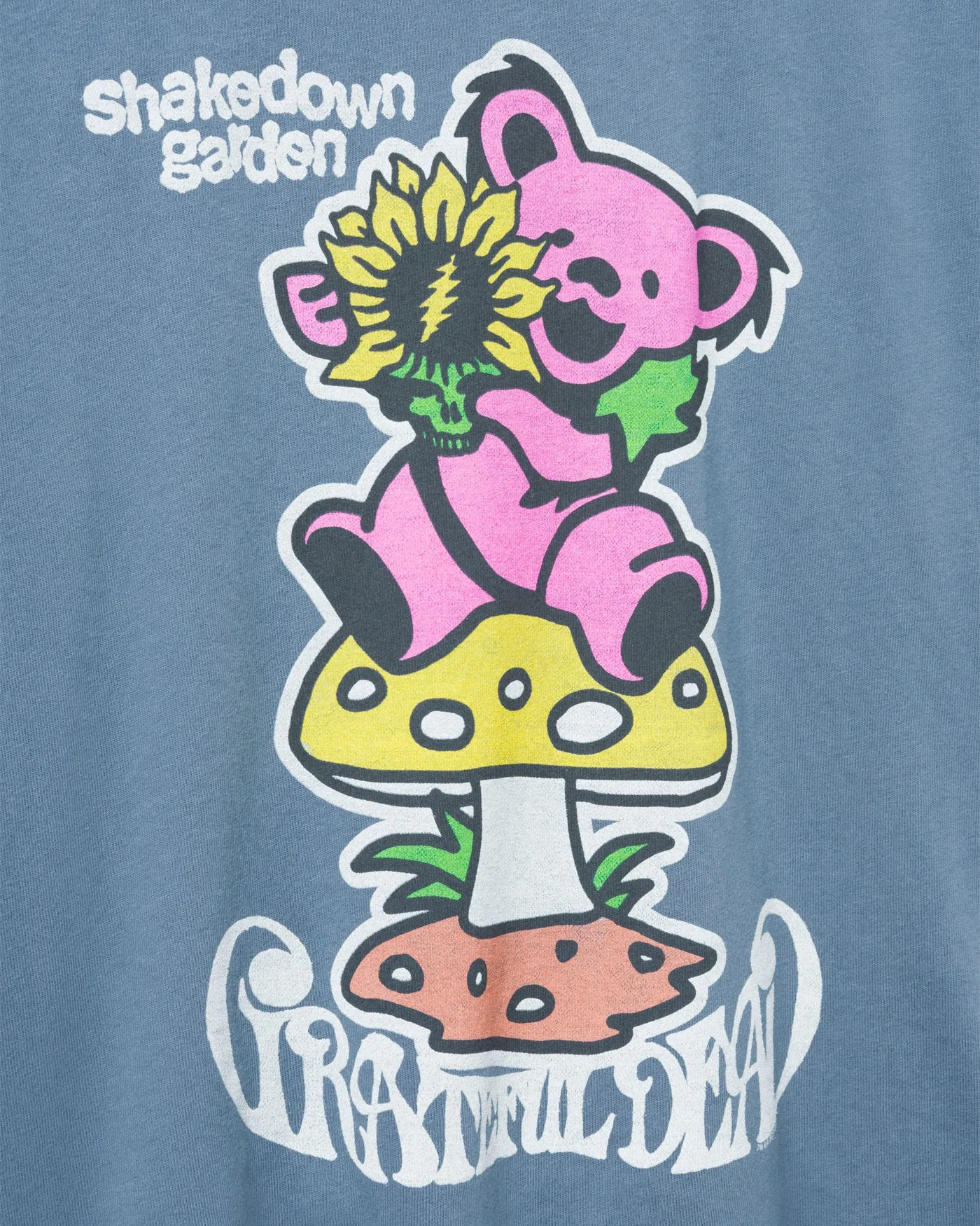 Women's Grateful Dead Shakedown Garden Vintage Tee sold by Junk Food Clothing product image thumbnail 3