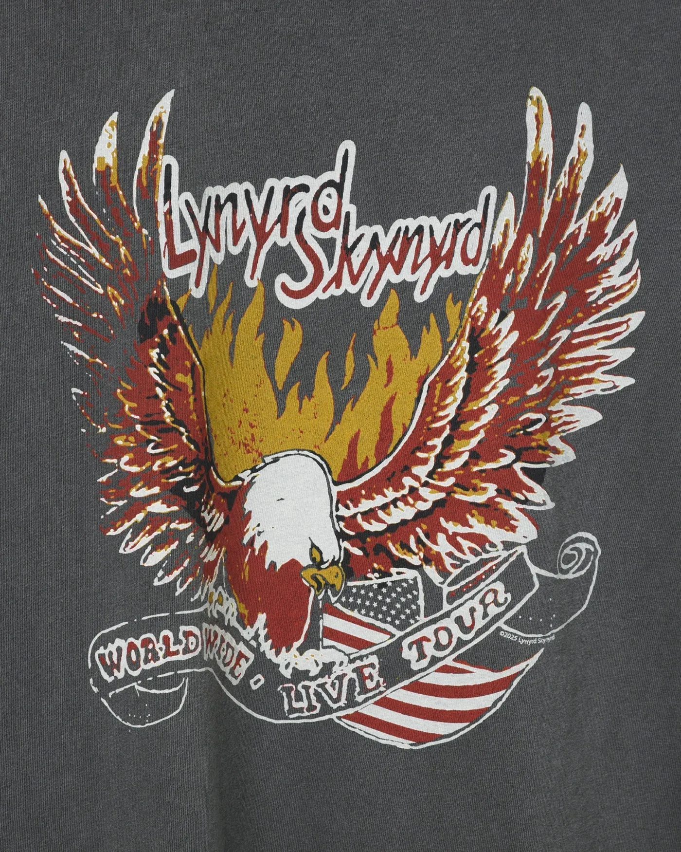 Lynyrd Skynyrd Worldwide Live Tour Vintage Tee sold by Junk Food Clothing product image thumbnail 3