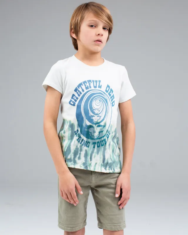 BOYS GRATEFUL DEAD TIE DYE TEE sold by Junk Food Clothing