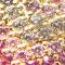 Ombré Crystal Heart Necklace sold by Karen Kane product image thumbnail 4