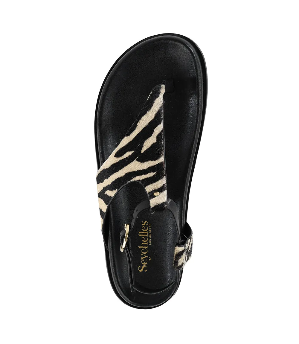 Seychelles In The Zone Gladiator Sandals sold by Karen Kane product image thumbnail 5