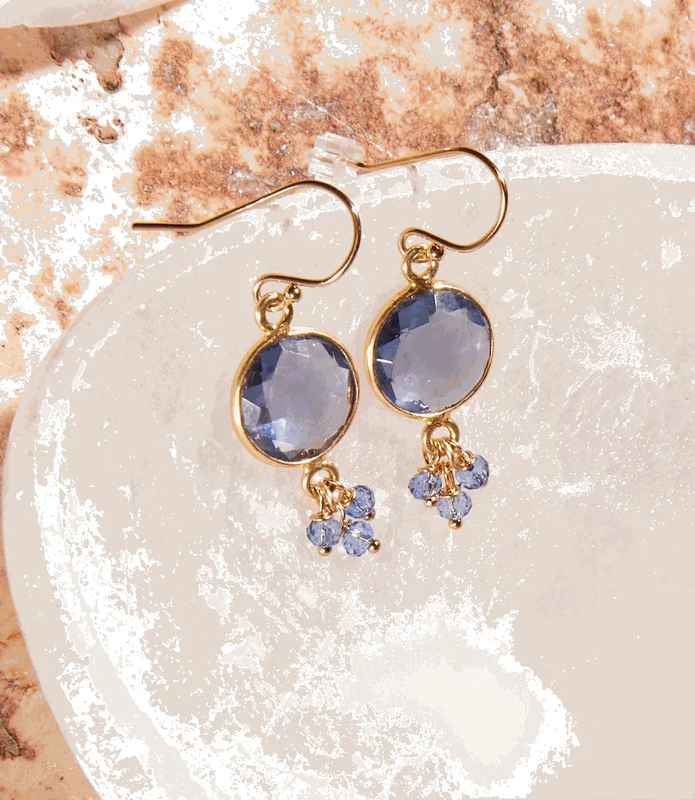 Iolite Dangle Earrings sold by Karen Kane product image thumbnail 2
