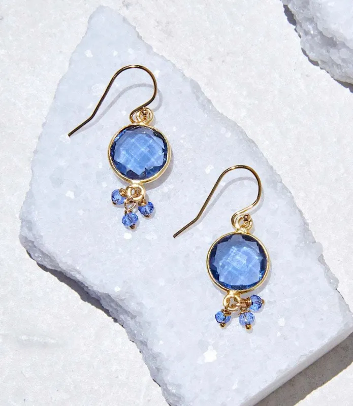 Iolite Dangle Earrings made by Karen Kane