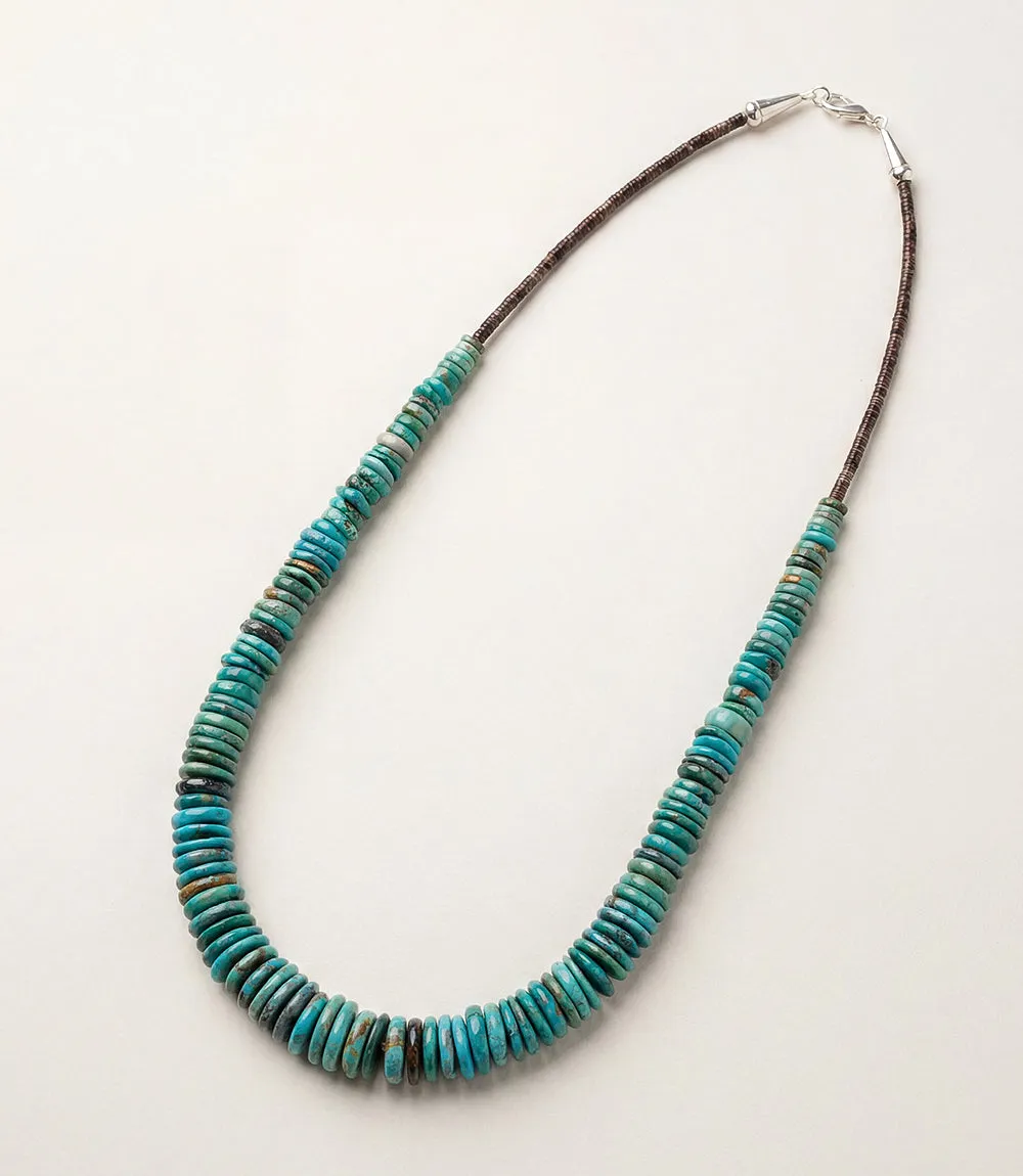 Single Strand Graduated Turquoise Necklace sold by Karen Kane product image thumbnail 3