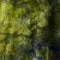 Plus Size 3/4 Sleeve Burnout Shirttail Top sold by Karen Kane product image thumbnail 4
