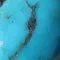 Kingman Turquoise Feather Dangle Earrings sold by Karen Kane product image thumbnail 5