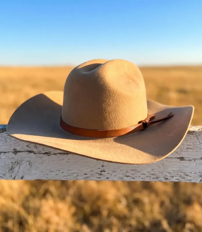 Wool Rancher Hat With Leather Belt made by Karen Kane