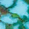 Zuni Inlay Kingman Turquoise Cuff Bracelet sold by Karen Kane product image thumbnail 4