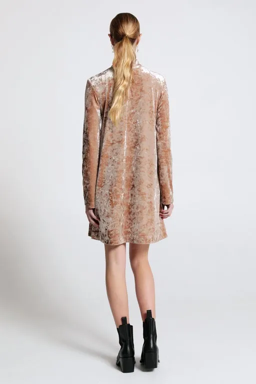 Electric Velvet Dress Champagne sold by Karen Walker product image thumbnail 3