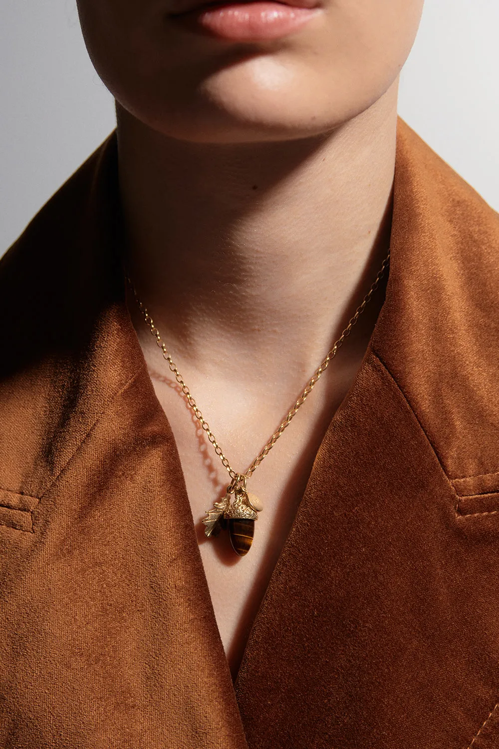 Acorn & Leaf Pendant Gold with Tiger's Eye sold by Karen Walker