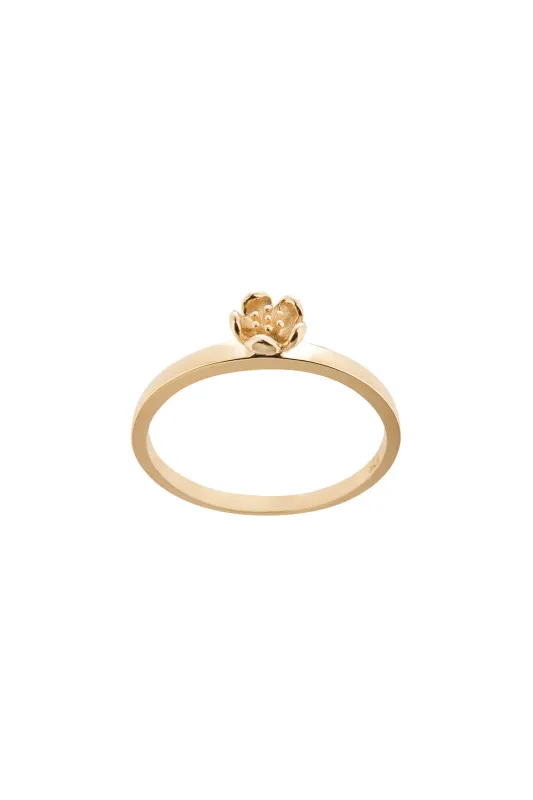 Botanical Plain Ring Gold sold by Karen Walker